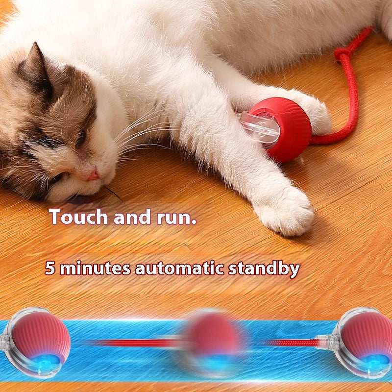Electric Cat Ball Toy Automatic Rolling Ball with Teaser Bird Smart Interactive Rechargeable Pet Toy