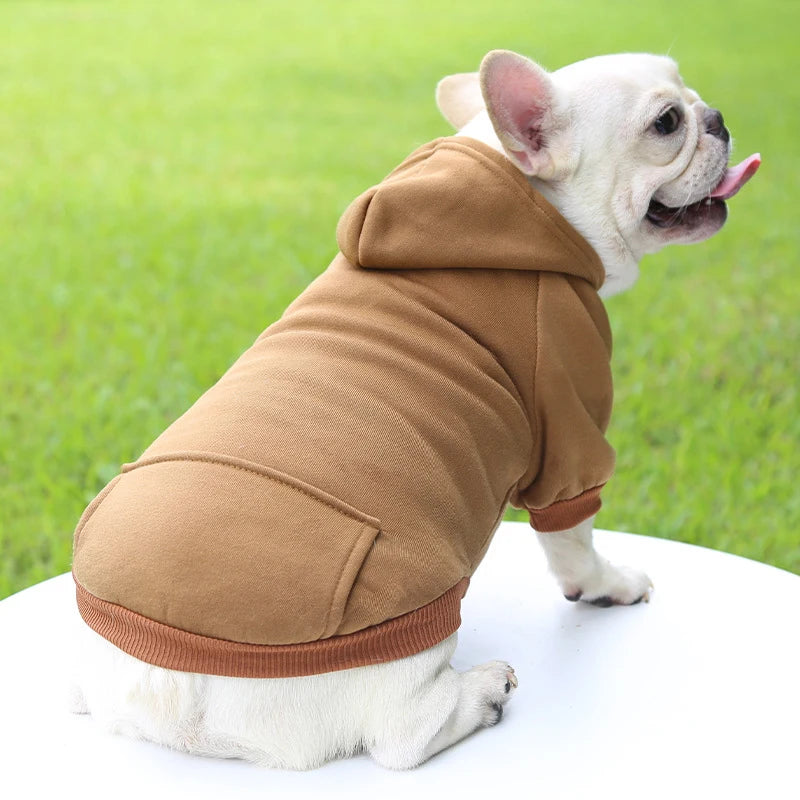 Fashion Dog Hoodie – Warm Autumn & Winter Small Pet Clothes, Thickened Two-Legged Sweater