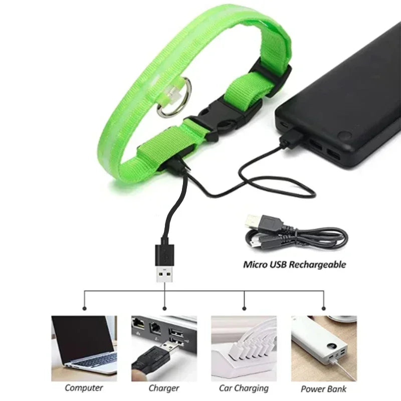LED Glowing Dog Collar Adjustable Flashing Rechargeable Luminous Night Collar for Small Dogs Anti-Lost Pet Product