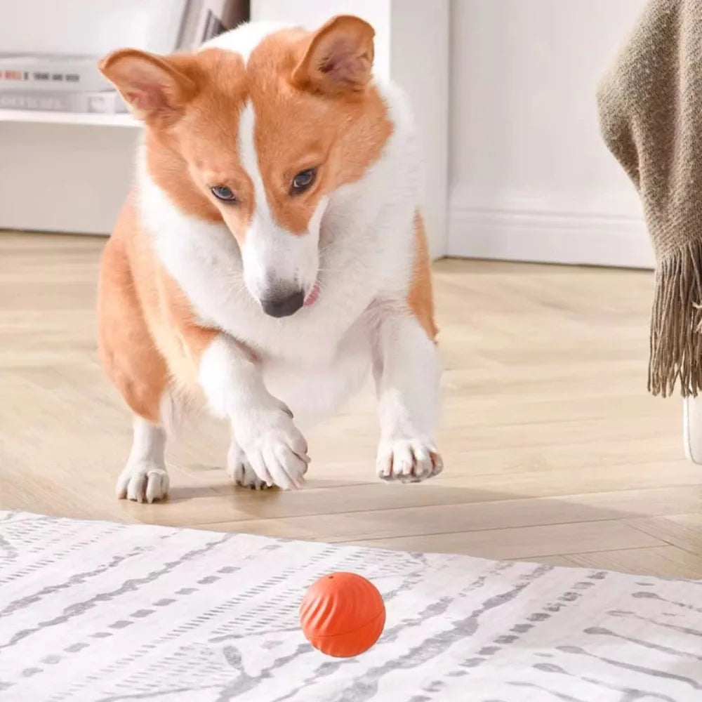 Automatic Moving Dog Toy Ball USB Rechargeable Jumping & Rotating Interactive Chew Toy for Puppies