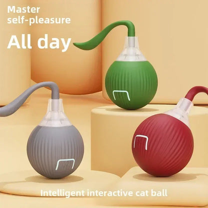 Rechargeable Cat Toy Automatic Rolling Ball with Simulated Tail Electric Pet Interactive Toy for Cats & Dogs