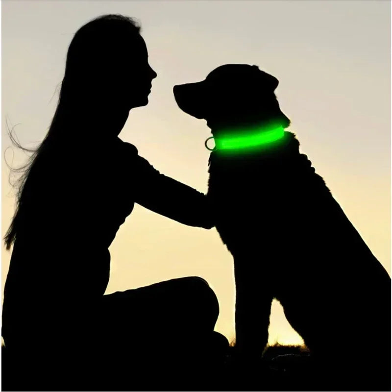 LED Glowing Dog Collar Adjustable Flashing Rechargeable Luminous Night Collar for Small Dogs Anti-Lost Pet Product