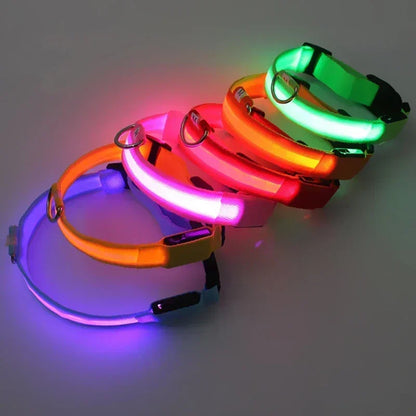 LED Glowing Dog Collar Adjustable Flashing Rechargeable Luminous Night Collar for Small Dogs Anti-Lost Pet Product