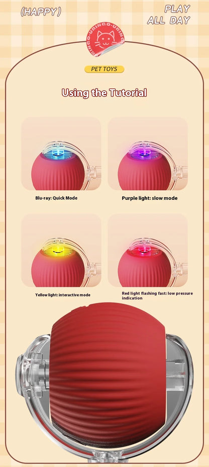 Electric Cat Ball Toy Automatic Rolling Ball with Teaser Bird Smart Interactive Rechargeable Pet Toy
