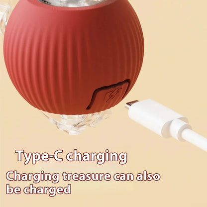 Smart Cat Toy Automatic Rolling Ball with Fake Tail Rechargeable Electric Interactive Training Toy for Dogs & Cats