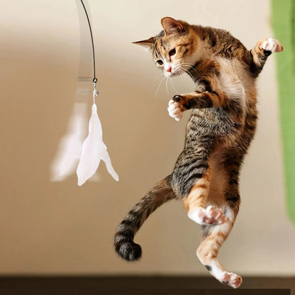 Cat Teaser Toy Interactive Bell & Feather Wand with Long Suction Cup Pole for Playtime Adventures
