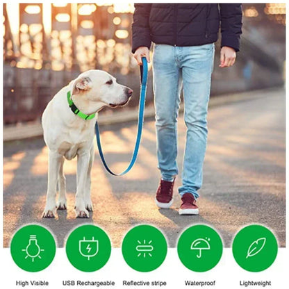 LED Glowing Dog Collar Adjustable Flashing Rechargeable Luminous Night Collar for Small Dogs Anti-Lost Pet Product