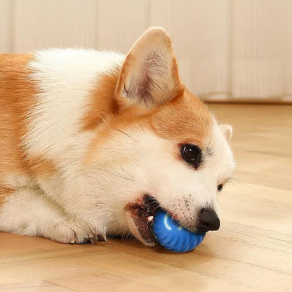 Automatic Bouncing Dog Ball Interactive Vibrating Toy for Dogs & Puppies Birthday Essentials