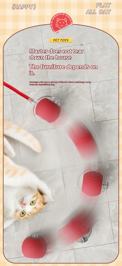 Electric Cat Ball Toy Automatic Rolling Ball with Teaser Bird Smart Interactive Rechargeable Pet Toy