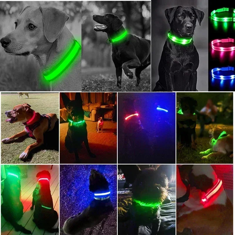 LED Glowing Dog Collar Adjustable Flashing Rechargeable Luminous Night Collar for Small Dogs Anti-Lost Pet Product