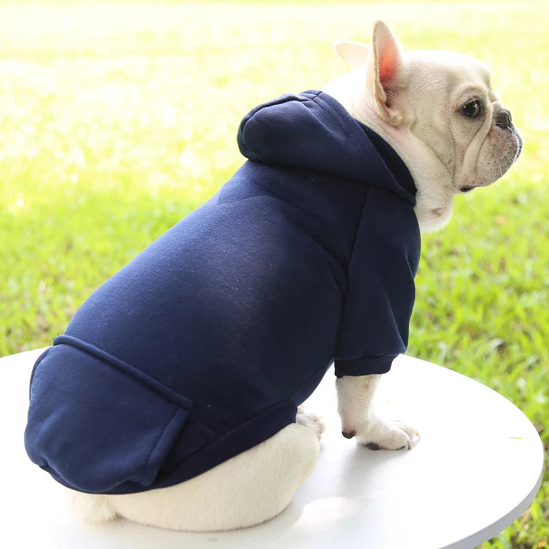 Fashion Dog Hoodie – Warm Autumn & Winter Small Pet Clothes, Thickened Two-Legged Sweater