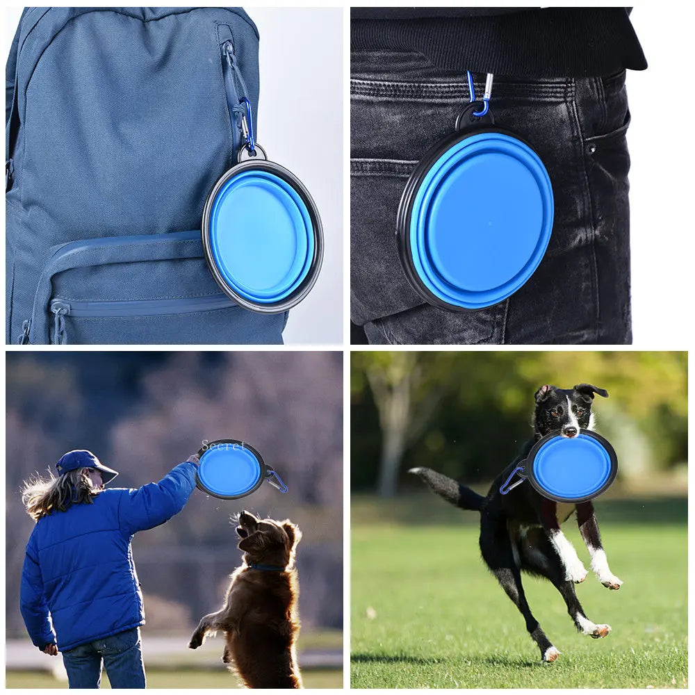 Collapsible Silicone Pet Bowl for Food & Water with Carabiner – Portable & Folding
