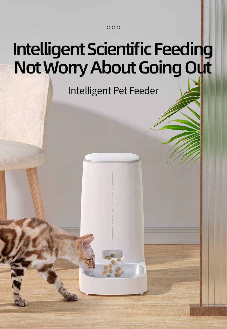 ROJECO Smart WiFi Automatic Cat Feeder – Remote Control Dry Food Dispenser for Cats & Dogs