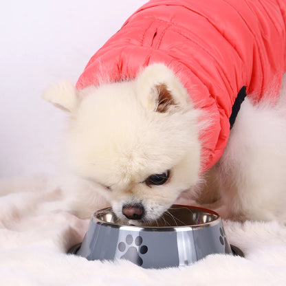 Stainless Steel Anti-Fall Pet Bowl – Cat & Dog Food Bowl, Multi-Specification