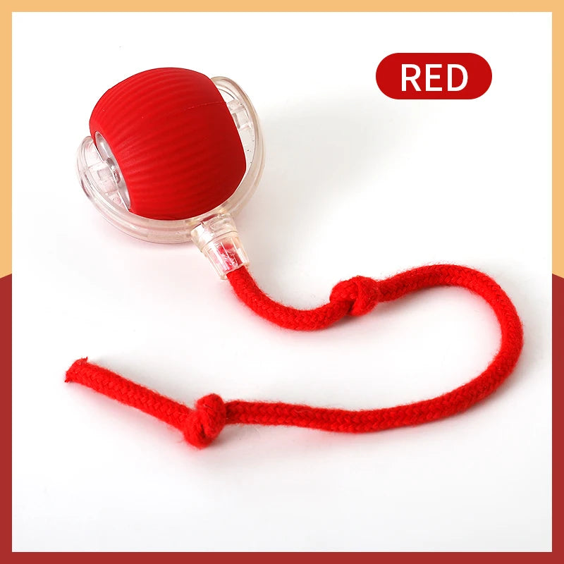 Electric Cat Ball Toy Automatic Rolling Ball with Teaser Bird Smart Interactive Rechargeable Pet Toy