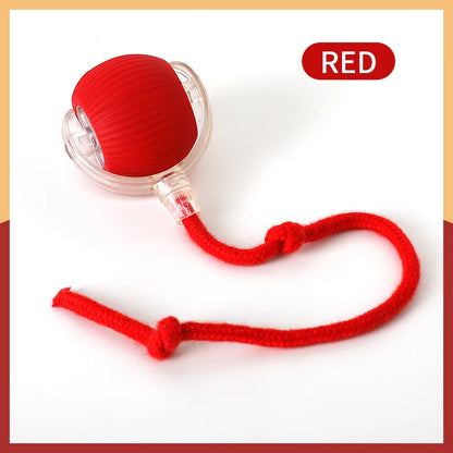 Electric Cat Ball Toy Automatic Rolling Ball with Teaser Bird Smart Interactive Rechargeable Pet Toy