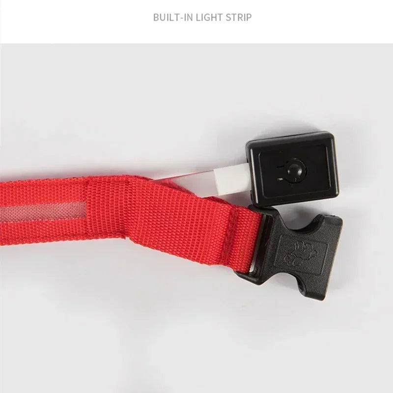 LED Glowing Dog Collar Adjustable Flashing Rechargeable Luminous Night Collar for Small Dogs Anti-Lost Pet Product