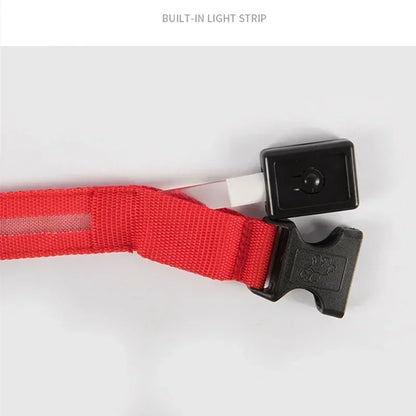 LED Glowing Dog Collar Adjustable Flashing Rechargeable Luminous Night Collar for Small Dogs Anti-Lost Pet Product