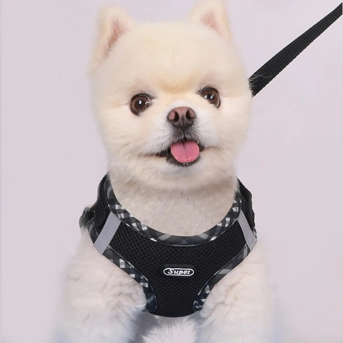 Supet Adjustable Anti-Pull Dog Harness for Easy Control - Small & Medium Dogs