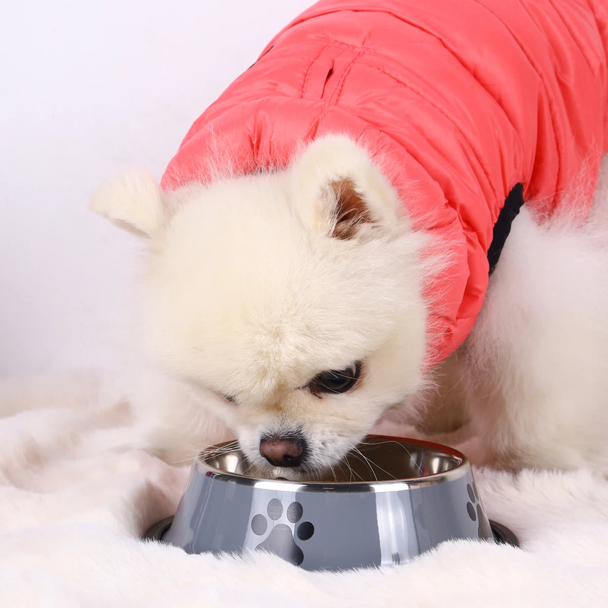 Stainless Steel Anti-Fall Pet Bowl – Cat & Dog Food Bowl, Multi-Specification
