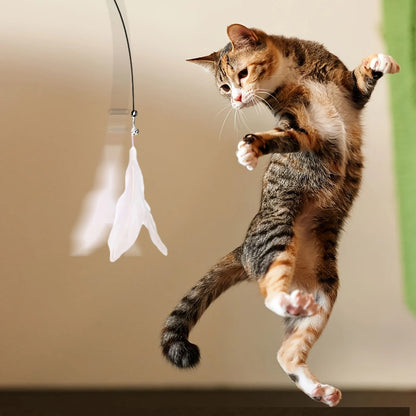 Cat Teaser Toy Interactive Bell & Feather Wand with Long Suction Cup Pole for Playtime Adventures