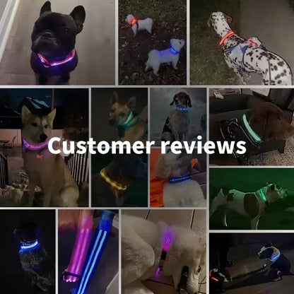 LED Glowing Dog Collar Adjustable Flashing Rechargeable Luminous Night Collar for Small Dogs Anti-Lost Pet Product