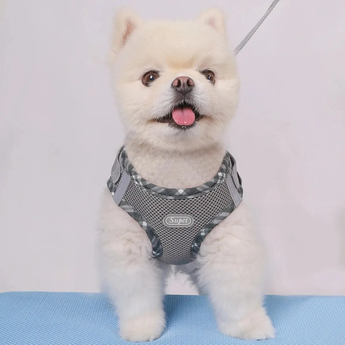 Supet Adjustable Anti-Pull Dog Harness for Easy Control - Small & Medium Dogs