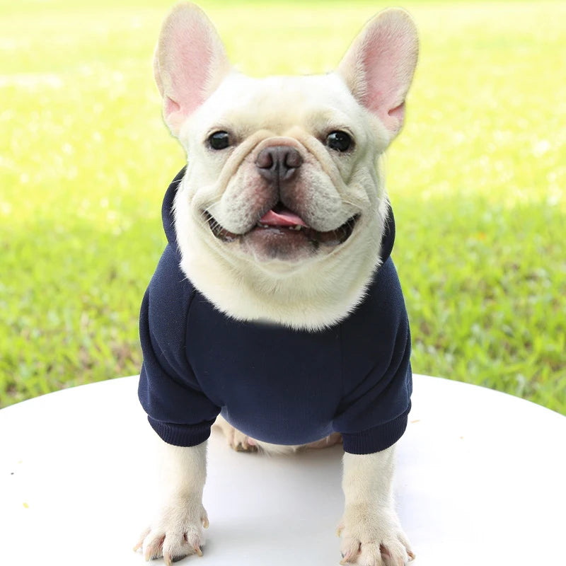 Fashion Dog Hoodie – Warm Autumn & Winter Small Pet Clothes, Thickened Two-Legged Sweater