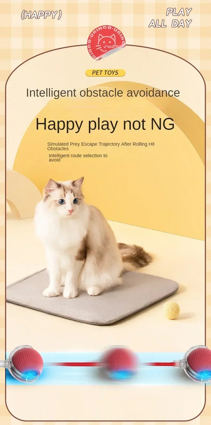Rechargeable Cat Toy Automatic Rolling Ball with Simulated Tail Electric Pet Interactive Toy for Cats & Dogs