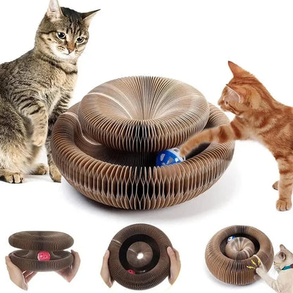 Magic Cat Scratch Board with Ball & Corrugated Climbing Toy for Cats