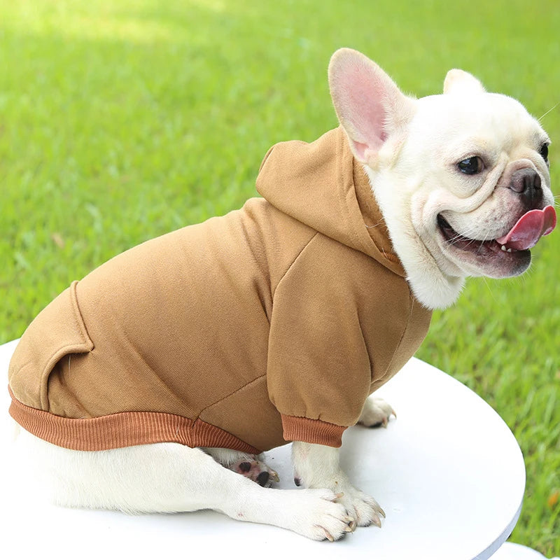Fashion Dog Hoodie – Warm Autumn & Winter Small Pet Clothes, Thickened Two-Legged Sweater