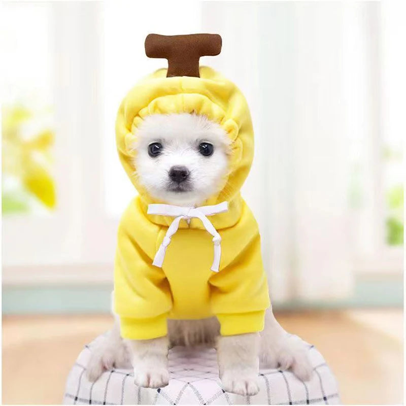 Cute Dog Hoodie & Pet Fruit Coat – Halloween Cosplay Costume with Hat for Dogs & Cats