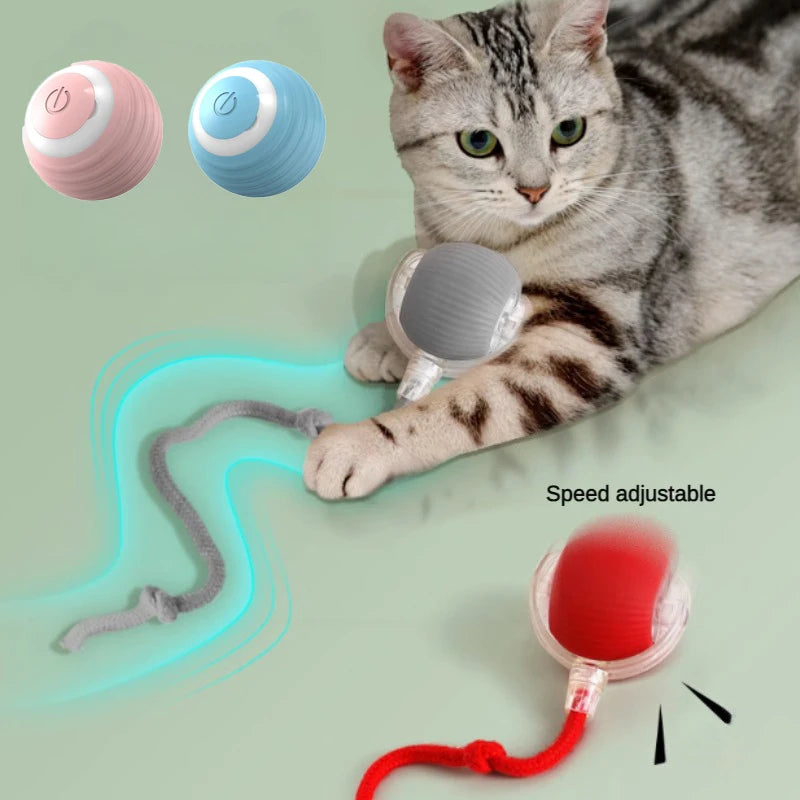 Electric Cat Ball Toy Automatic Rolling Ball with Teaser Bird Smart Interactive Rechargeable Pet Toy