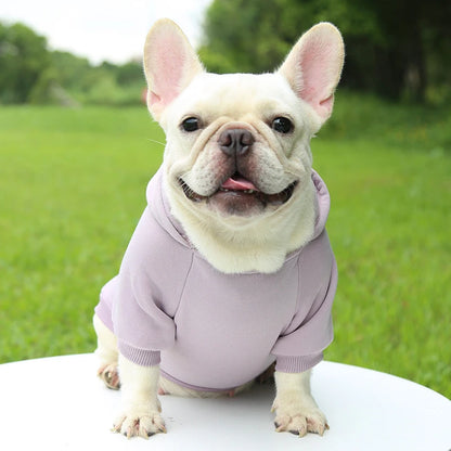 Fashion Dog Hoodie – Warm Autumn & Winter Small Pet Clothes, Thickened Two-Legged Sweater