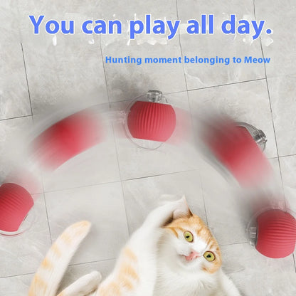 Electric Cat Ball Toy Automatic Rolling Ball with Teaser Bird Smart Interactive Rechargeable Pet Toy