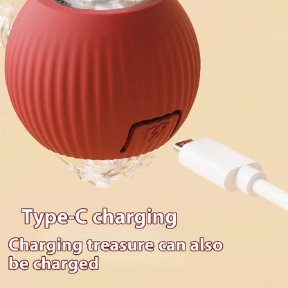 Electric Cat Ball Toy Automatic Rolling Ball with Teaser Bird Smart Interactive Rechargeable Pet Toy
