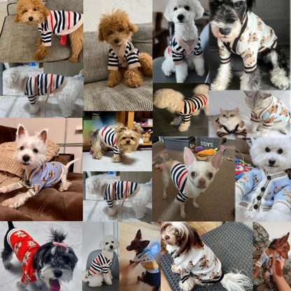Luxury Striped Cardigan Sweater for Dogs – Warm Coat for Chihuahua, Bichon Frise & Puppies