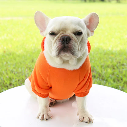 Fashion Dog Hoodie – Warm Autumn & Winter Small Pet Clothes, Thickened Two-Legged Sweater