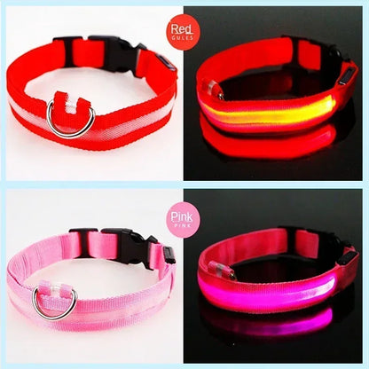 LED Glowing Dog Collar Adjustable Flashing Rechargeable Luminous Night Collar for Small Dogs Anti-Lost Pet Product