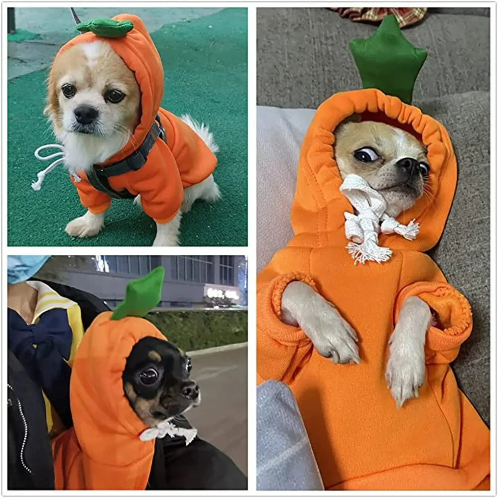 Cute Carrot Shape Dog Hoodie – Warm Fleece Sweater Coat for Puppies & Small Dogs