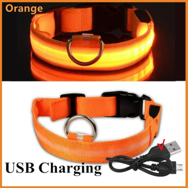 LED Glowing Dog Collar Adjustable Flashing Rechargeable Luminous Night Collar for Small Dogs Anti-Lost Pet Product