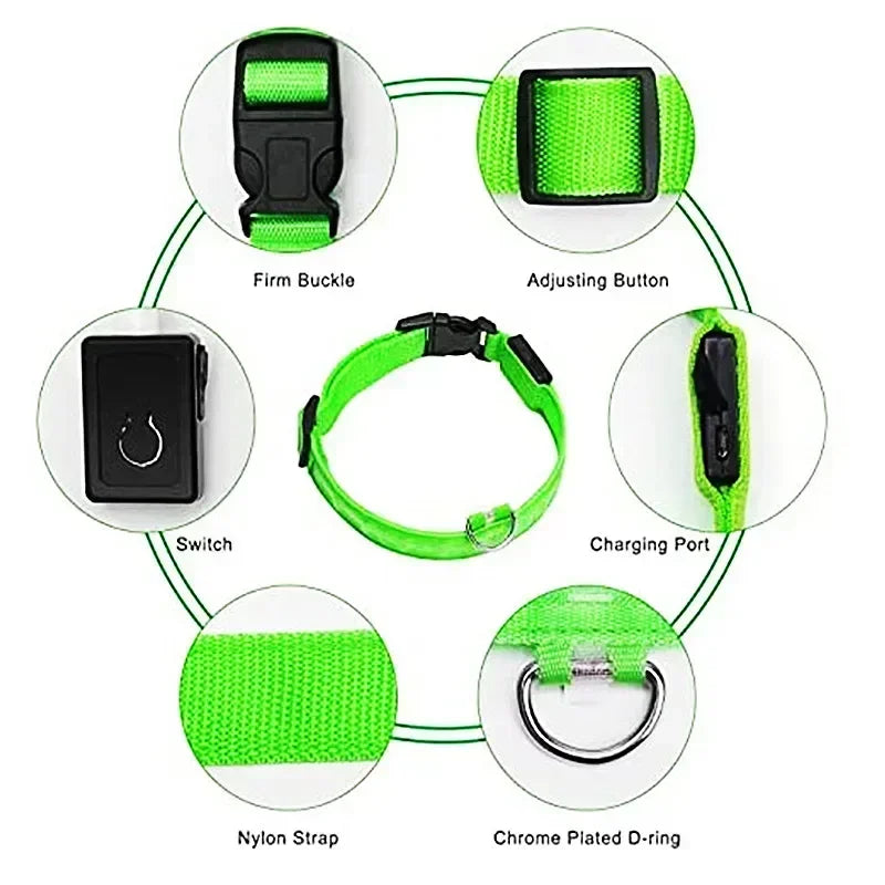 LED Glowing Dog Collar Adjustable Flashing Rechargeable Luminous Night Collar for Small Dogs Anti-Lost Pet Product