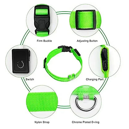 LED Glowing Dog Collar Adjustable Flashing Rechargeable Luminous Night Collar for Small Dogs Anti-Lost Pet Product