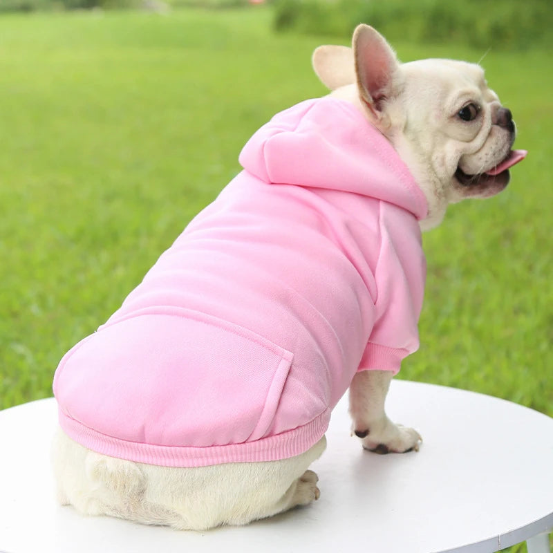Fashion Dog Hoodie – Warm Autumn & Winter Small Pet Clothes, Thickened Two-Legged Sweater