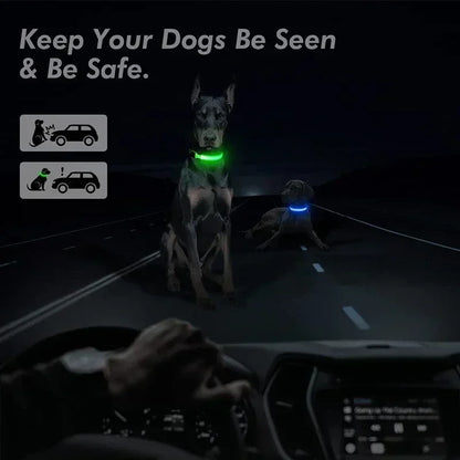 LED Glowing Dog Collar Adjustable Flashing Rechargeable Luminous Night Collar for Small Dogs Anti-Lost Pet Product