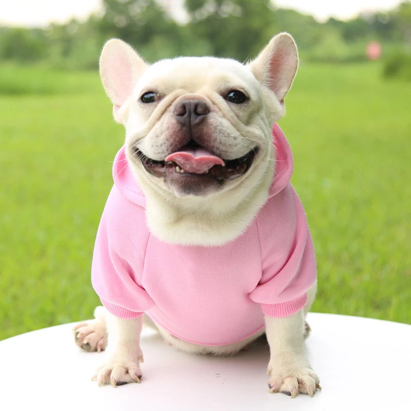 Fashion Dog Hoodie – Warm Autumn & Winter Small Pet Clothes, Thickened Two-Legged Sweater