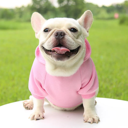 Fashion Dog Hoodie – Warm Autumn & Winter Small Pet Clothes, Thickened Two-Legged Sweater