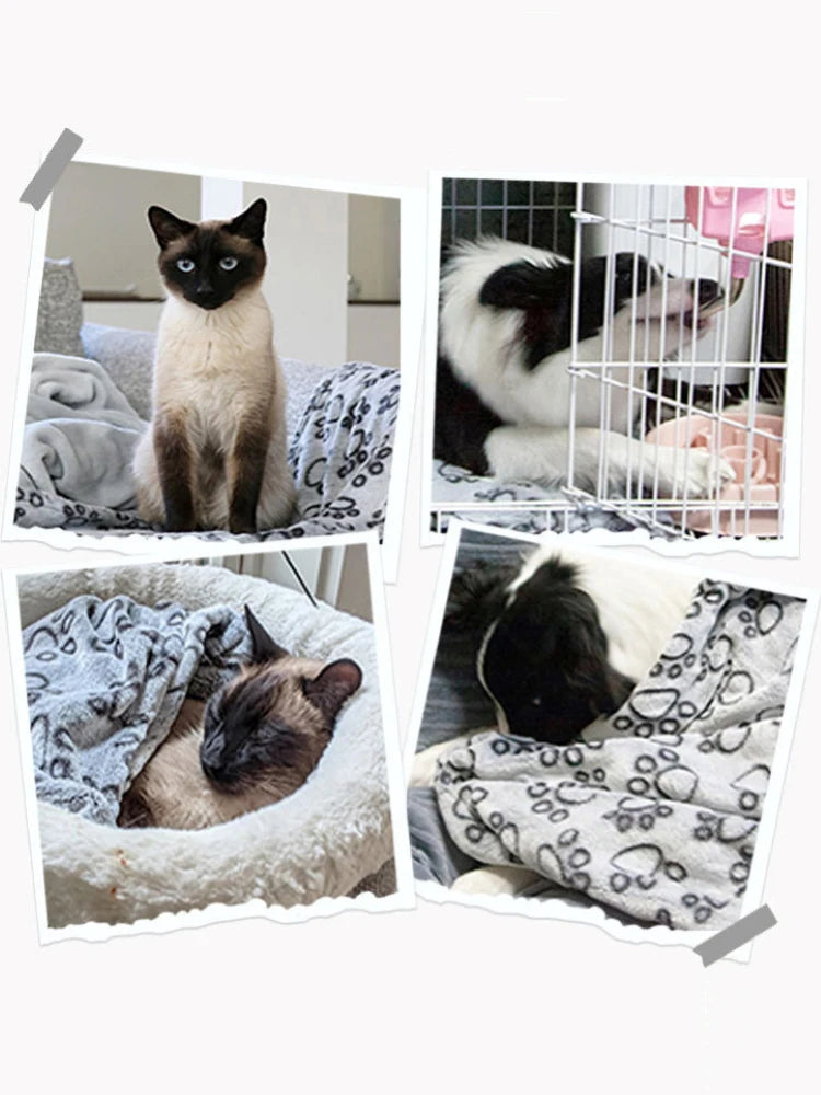 Soft Fluffy High-Quality Pet Blanket with Cute Cartoon Pattern Warm & Comfortable Mat for Cats & Dogs