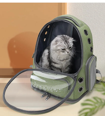 Transparent Pet Cat Carrier Backpack – Breathable Travel Bag for Cats & Small Dogs