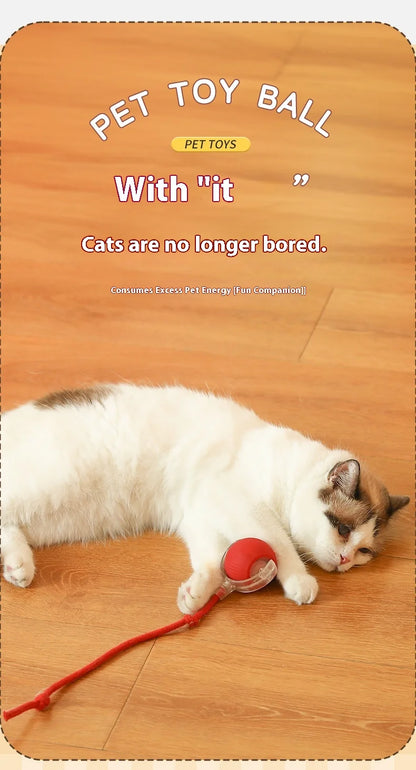 Electric Cat Ball Toy Automatic Rolling Ball with Teaser Bird Smart Interactive Rechargeable Pet Toy